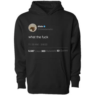 WTF Tweet Hoodie